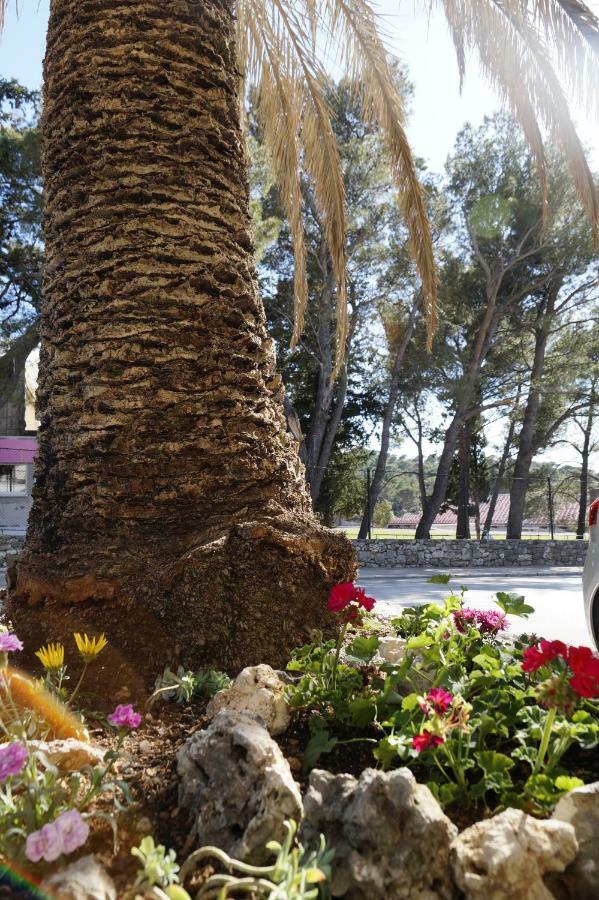 Frapedo Sport Makarska Apartment Luaran gambar